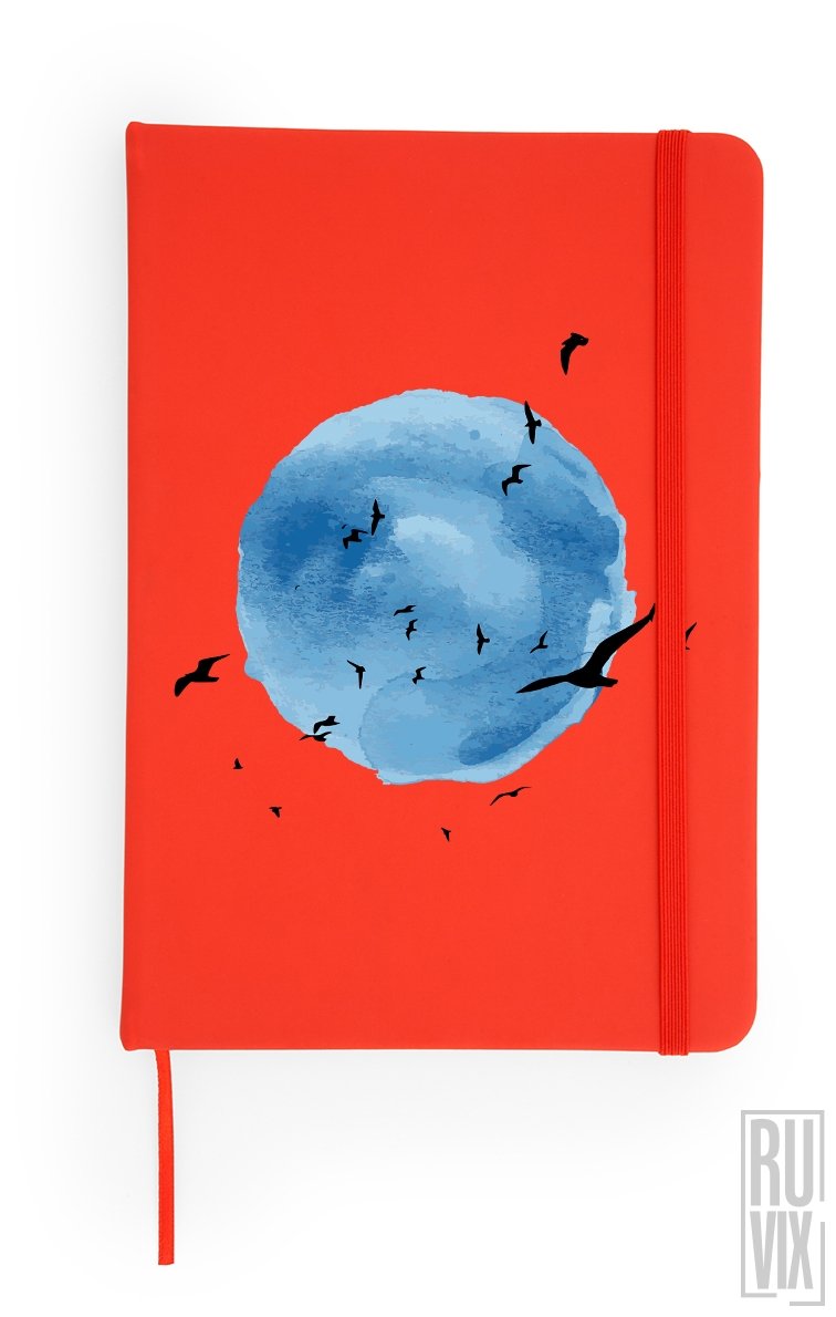 Agendă Flying Birds